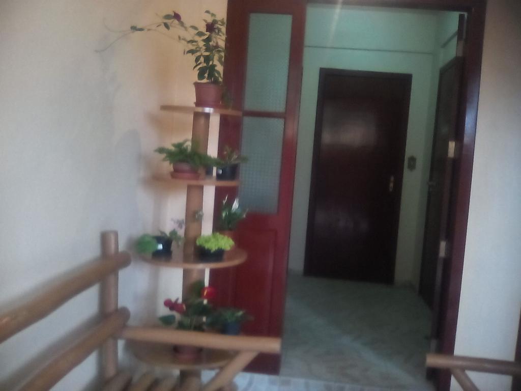 Residencial Dona Vilma Hotel Florianópolis Zewnętrze zdjęcie